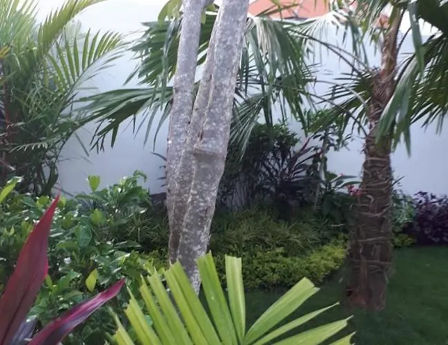 2900 * Canggu