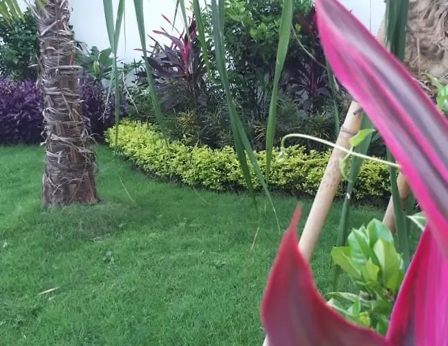 2900 Canggu